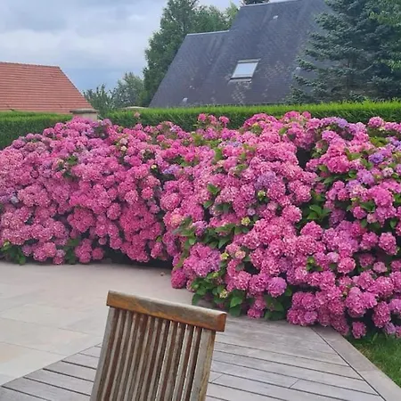 5*, A 3 Mn, Piscine Interieure A 28° Villa *